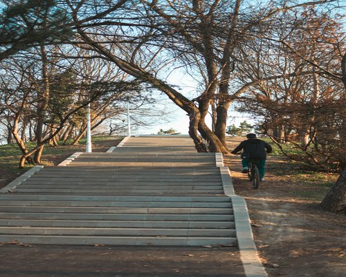 A person enjoying a relaxed morning walk through a quiet green city park in Romania